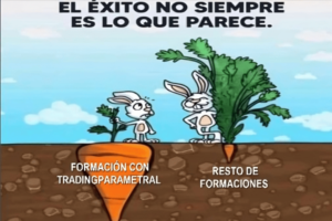 curso de trading basico, aprender trading y bolsa, trading